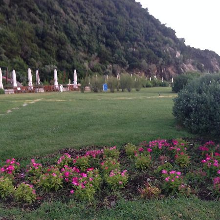 Holiday Homes Marina Apartments Punta Ala Bagian luar foto