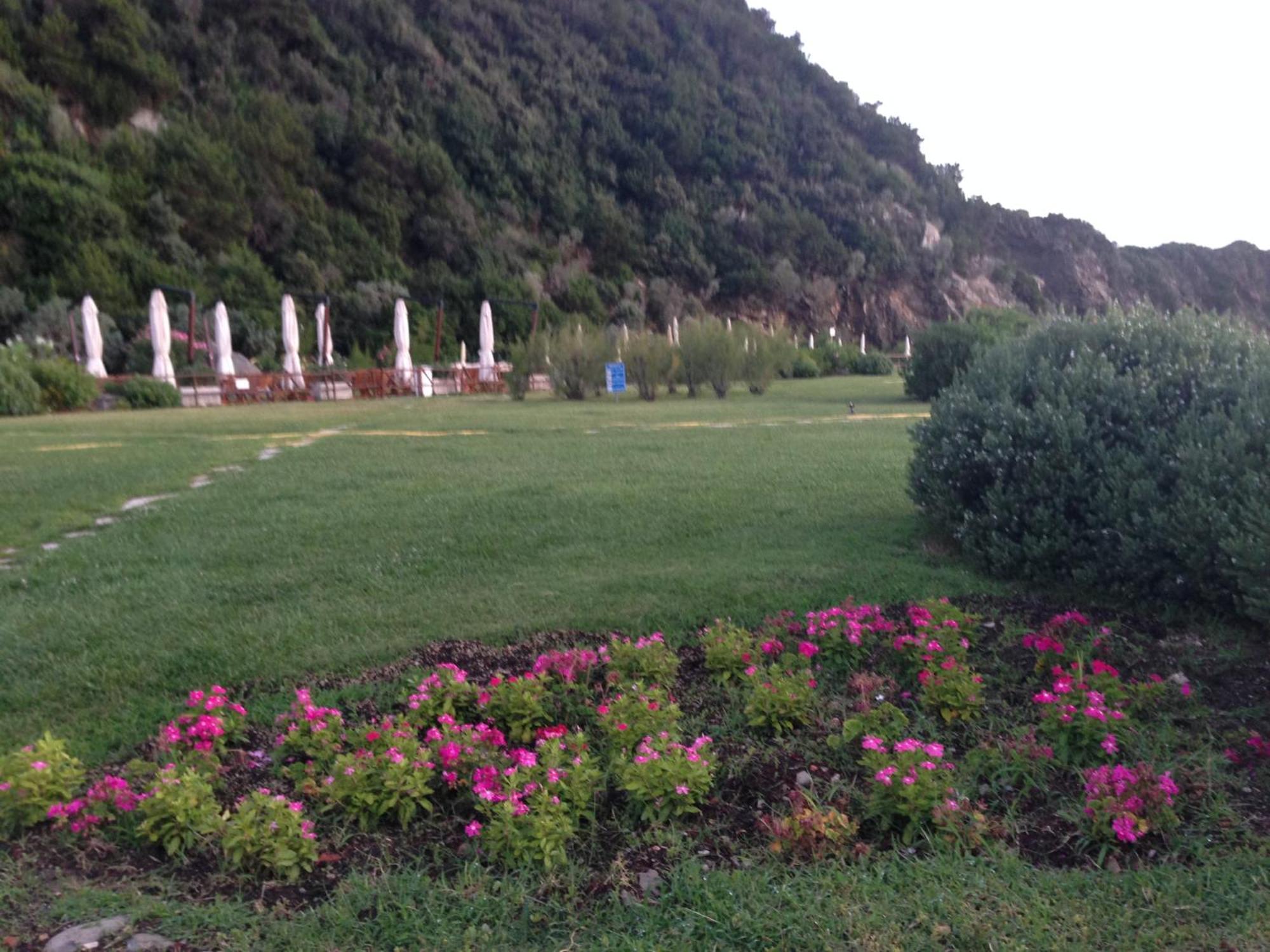 Holiday Homes Marina Apartments Punta Ala Bagian luar foto