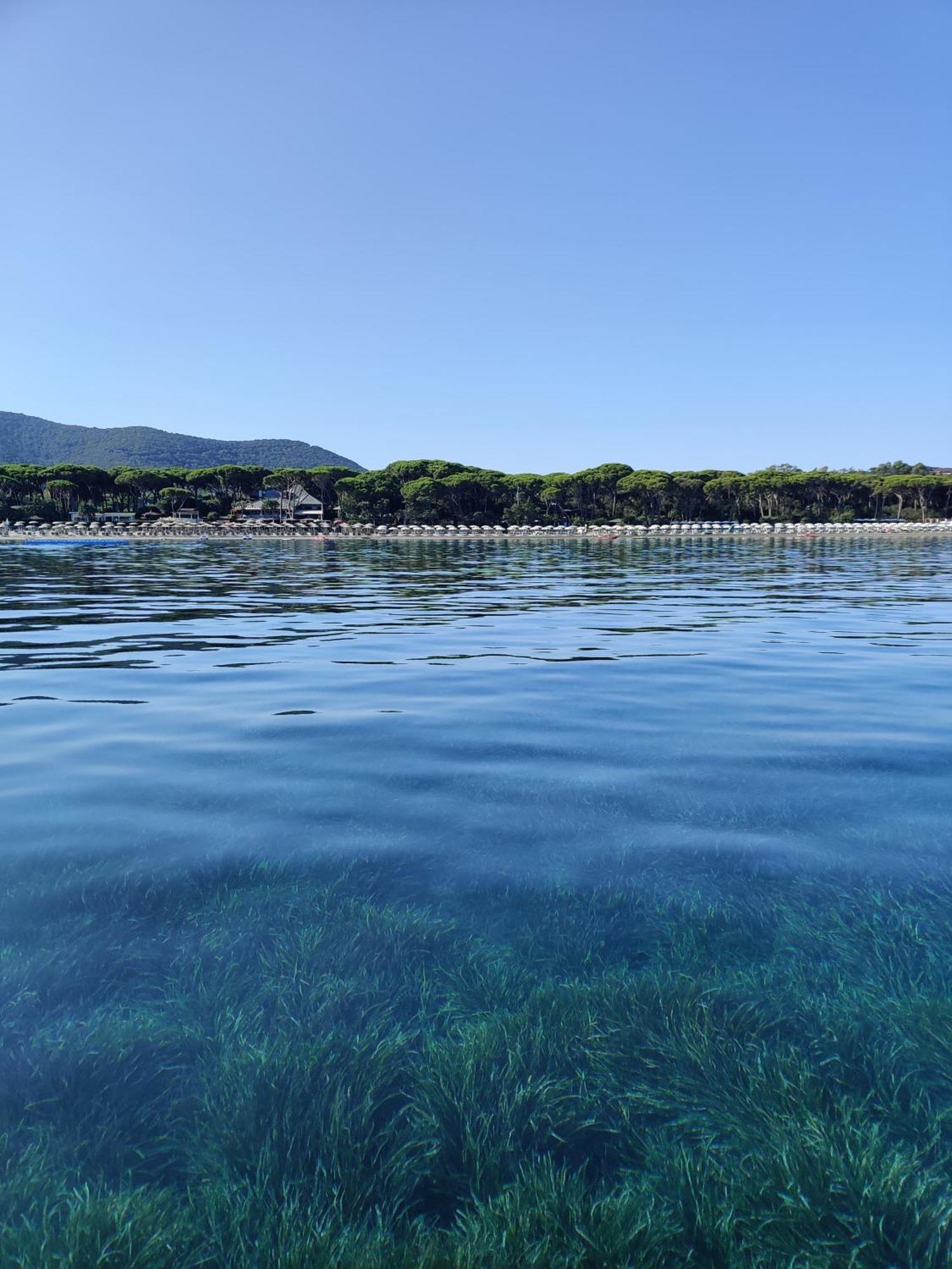 Holiday Homes Marina Apartments Punta Ala Bagian luar foto